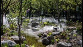 معرض الطبيعة: رفع مساحتك باستخدام فن الحدائق