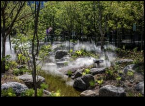 معرض الطبيعة: رفع مساحتك باستخدام فن الحدائق