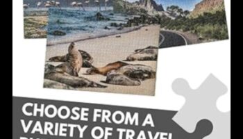 بانوراما الرحلة: لغز المسافر لرحلات مثالية