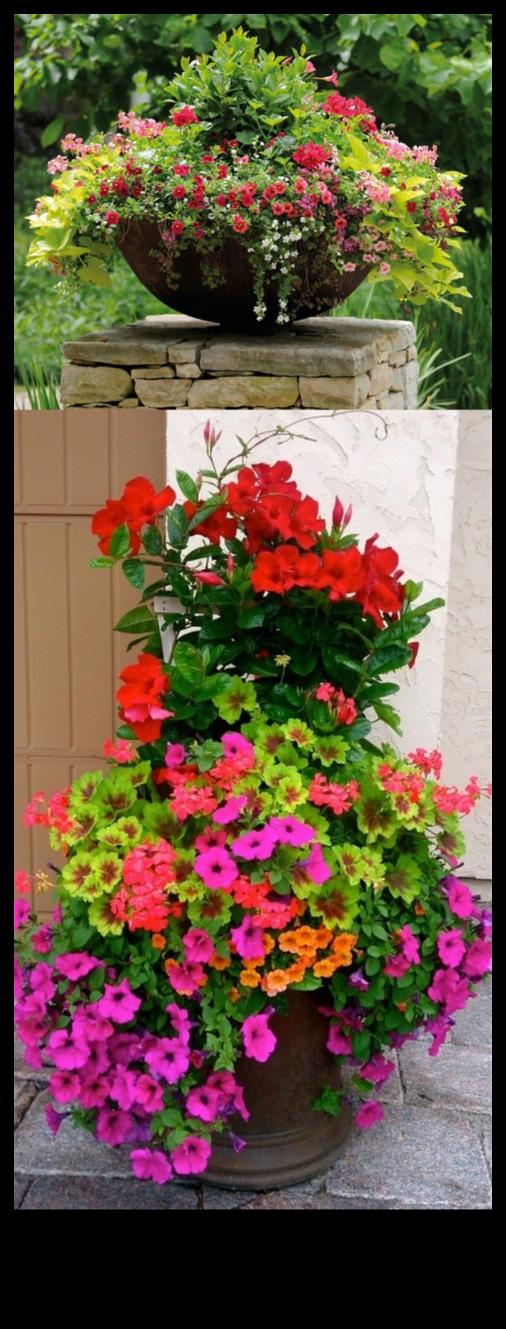 أواني الزهور: صناعة حدائق مذهلة باستخدام الحاويات