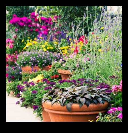 أواني الزهور: صناعة حدائق مذهلة باستخدام الحاويات