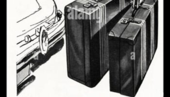 الكشف عن Rove: إلقاء الضوء على مسار سفرك