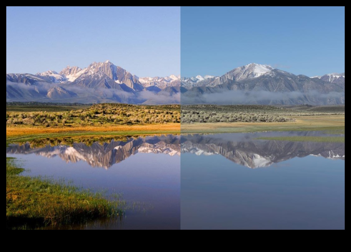 اللون السينمائي: كاميرات ذات خيارات تدرج الألوان الاحترافية