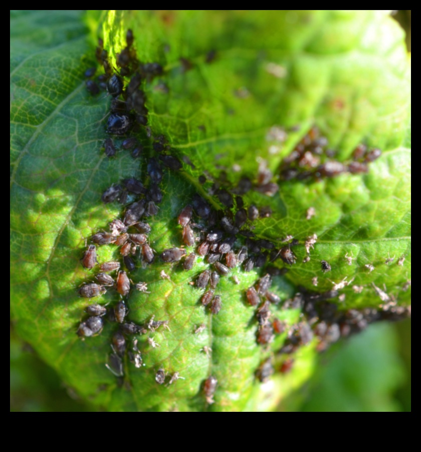 حماية ملاذك: الدفاع ضد آفات الحديقة