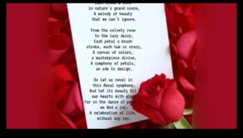 سمفونية الحديقة: جمال الدفيئة في كل بتلة