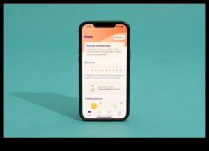 التأمل عبر الهاتف المحمول: تطبيقات وملحقات لليقظة الذهنية على هاتفك