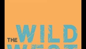 مغامرات في الإعلان: التنقل في برية وسائل التواصل الاجتماعي