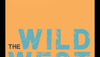 مغامرات في الإعلان: التنقل في برية وسائل التواصل الاجتماعي