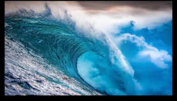 الطفرة الاجتماعية: التنقل في موجات النجاح في الإدارة الرقمية