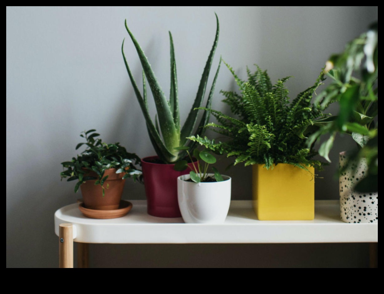 Windowside Wonderland: سحر البستنة الداخلية