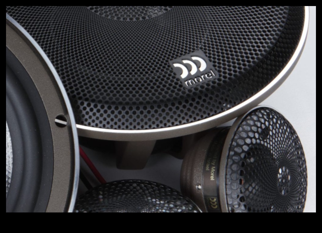 مغامرة صوت السيارات: أنظمة صوتية متطورة لعشاق السيارات