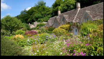 خلوات غريبة الأطوار: ارفع مساحتك مع حدائق الكوخ