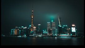 السلالات الرقمية: بناء إمبراطوريات العلاقات في الشبكات عبر الإنترنت