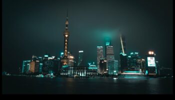 السلالات الرقمية: بناء إمبراطوريات العلاقات في الشبكات عبر الإنترنت