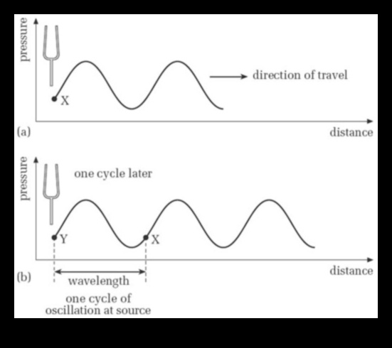 الطول الموجي للمتجول: ضبط ترددات نصائح السفر