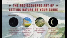 التنقل في الطبيعة: دليل المسافر للمغامرات الصديقة للبيئة