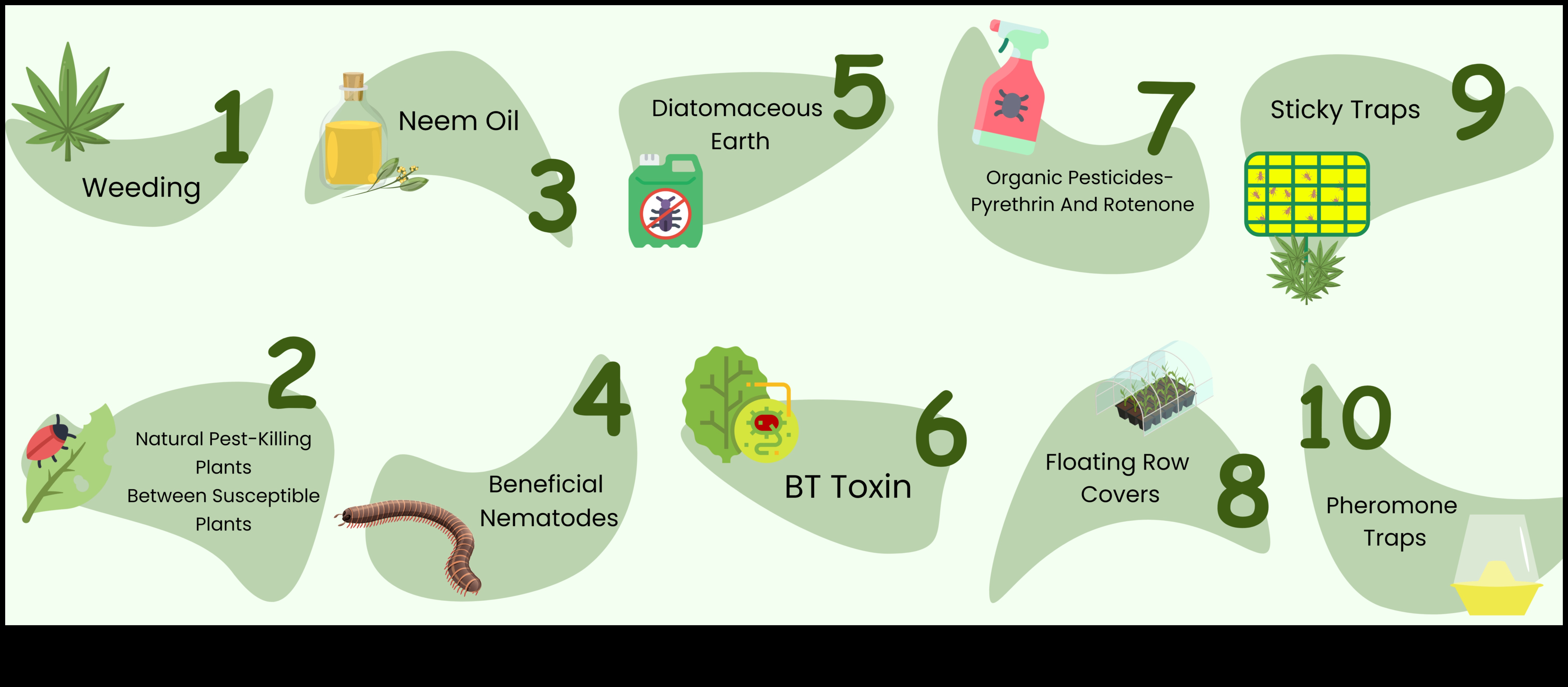 الجنة المضادة للآفات: حراسة الخضر الخاصة بك بالخبرة