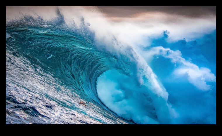 الطفرة الاجتماعية: التنقل في موجات النجاح في الإدارة الرقمية